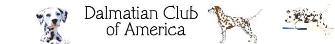 Dalmatian Club of America