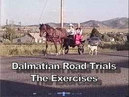 Click here for Road Trial Exercise Video